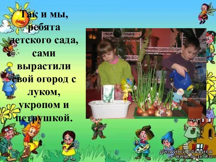 Так и мы, ребята детского сада, сами вырастили свой огород с луком, укропом и петрушкой.