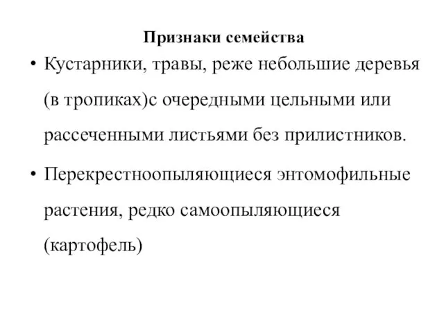 Признаки семейства Кустарники, травы, реже небольшие деревья (в тропиках)с очередными