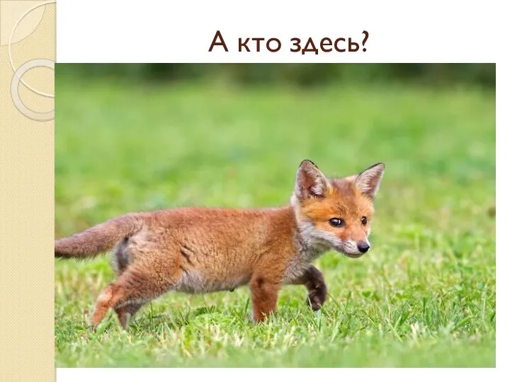 А кто здесь?