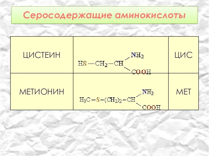 Серосодержащие аминокислоты