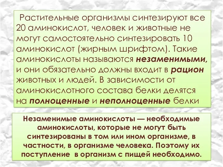 Растительные организмы синтезируют все 20 аминокислот, человек и животные не