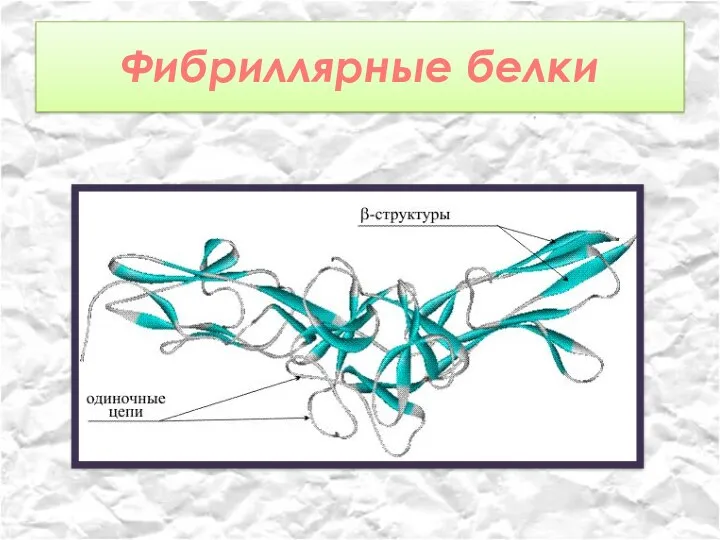 Фибриллярные белки