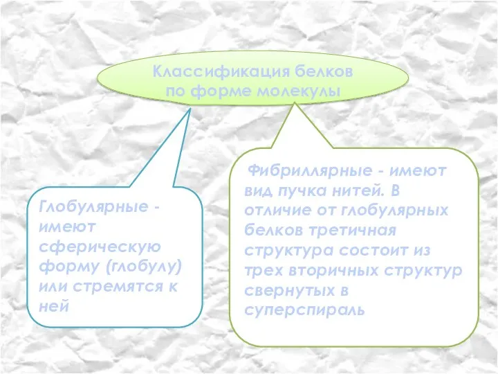 Классификация белков по форме молекулы Глобулярные - имеют сферическую форму