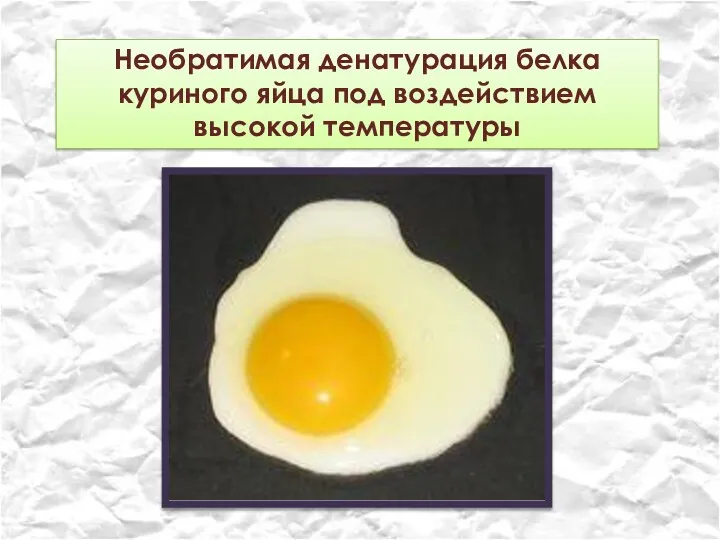 Необратимая денатурация белка куриного яйца под воздействием высокой температуры