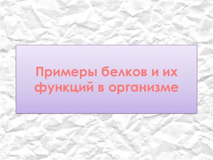 Примеры белков и их функций в организме