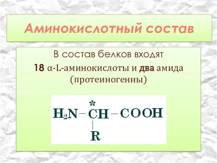 Аминокислотный состав В состав белков входят 18 α-L-аминокислоты и два амида (протеиногенны)