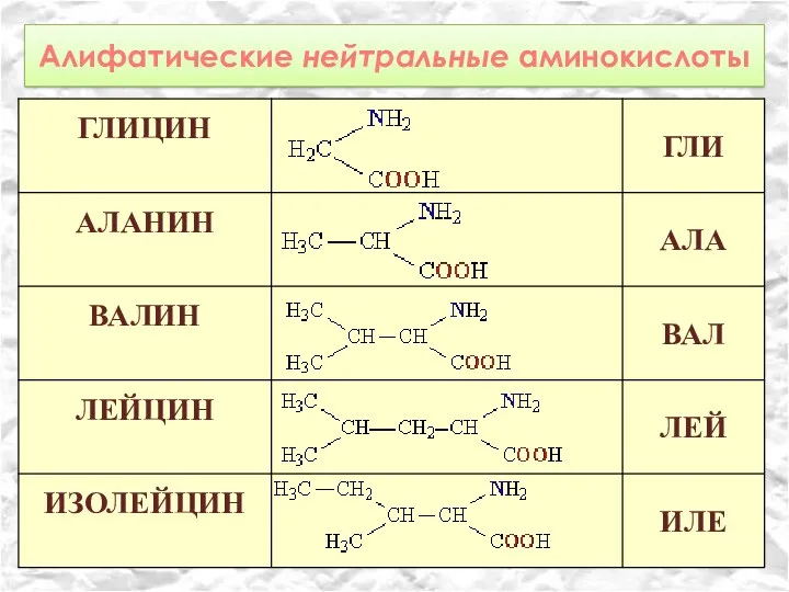 Алифатические нейтральные аминокислоты