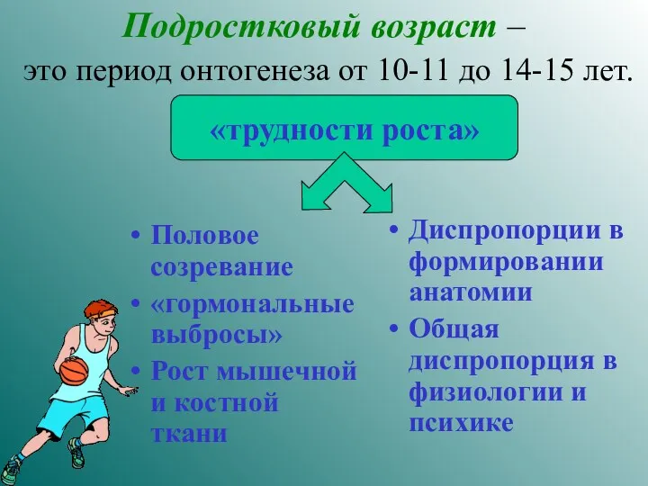 Подростковый возраст – это период онтогенеза от 10-11 до 14-15