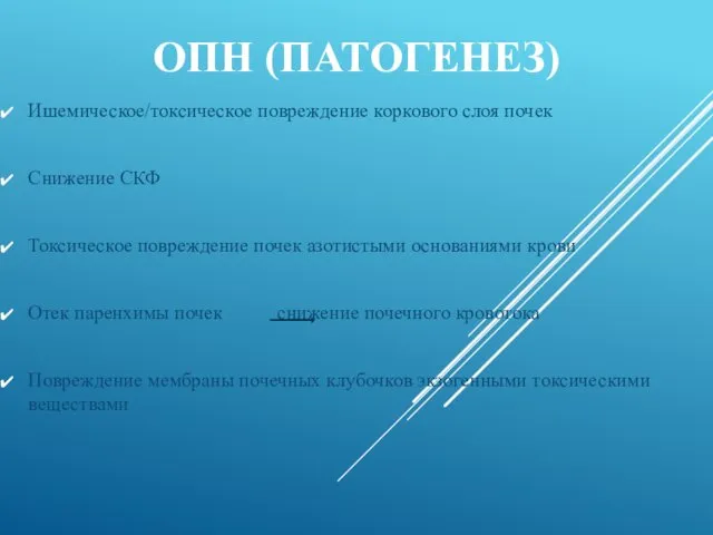 ОПН (ПАТОГЕНЕЗ) Ишемическое/токсическое повреждение коркового слоя почек Снижение СКФ Токсическое