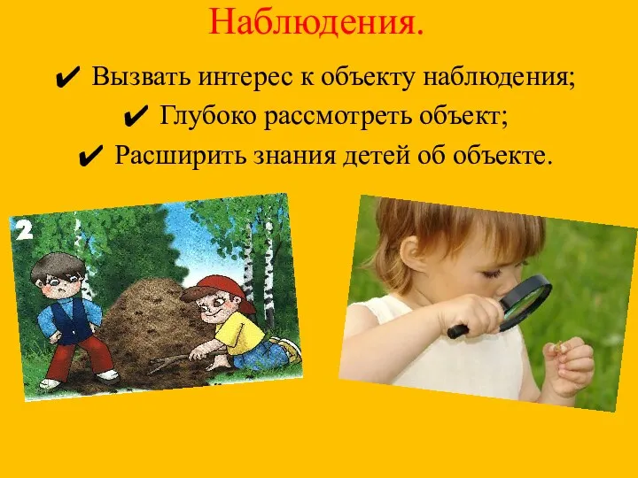 Наблюдения. Вызвать интерес к объекту наблюдения; Глубоко рассмотреть объект; Расширить знания детей об объекте.