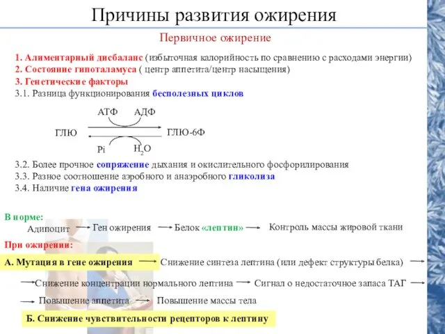 Причины развития ожирения Первичное ожирение 1. Алиментарный дисбаланс (избыточная калорийность