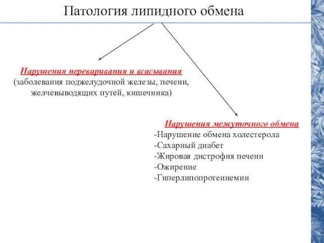 Патология липидного обмена Нарушения переваривания и всасывания (заболевания поджелудочной железы,