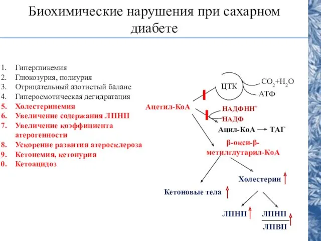 Биохимические нарушения при сахарном диабете Гипергликемия Глюкозурия, полиурия Отрицательный азотистый