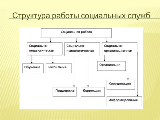 Структура работы социальных служб