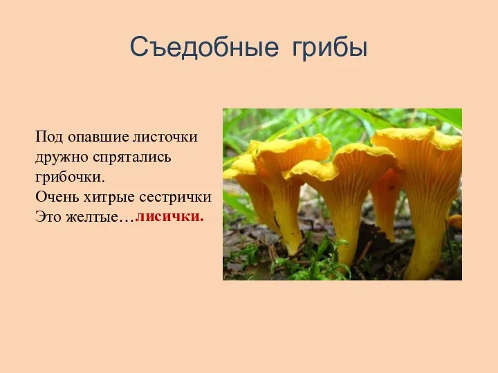 Съедобные грибы Под опавшие листочки дружно спрятались грибочки. Очень хитрые сестрички Это желтые… лисички.