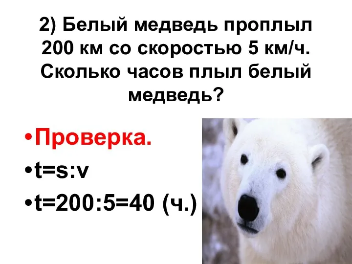 2) Белый медведь проплыл 200 км со скоростью 5 км/ч.