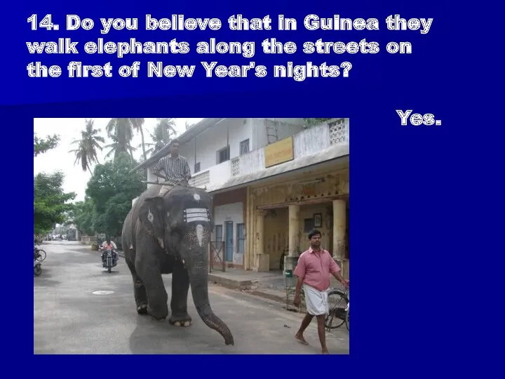 14. Do you believe that in Guinea they walk elephants along the streets