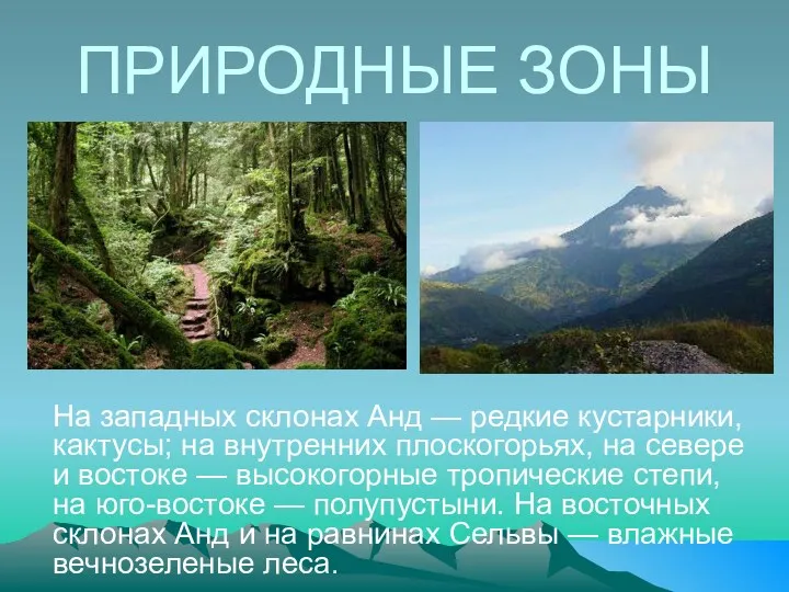 ПРИРОДНЫЕ ЗОНЫ На западных склонах Анд — редкие кустарники, кактусы; на внутренних плоскогорьях,