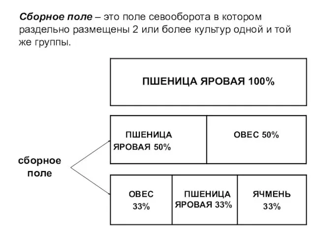 Сборное поле – это поле севооборота в котором раздельно размещены