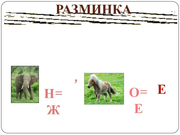 РАЗМИНКА Е , Н=Ж О=Е