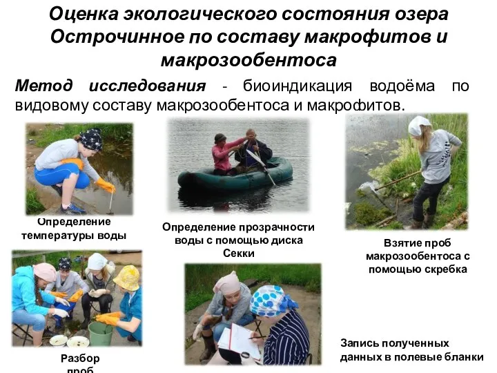 Оценка экологического состояния озера Острочинное по составу макрофитов и макрозообентоса