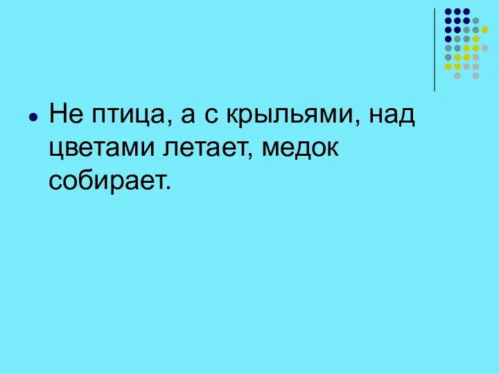 Не птица, а с крыльями, над цветами летает, медок собирает.