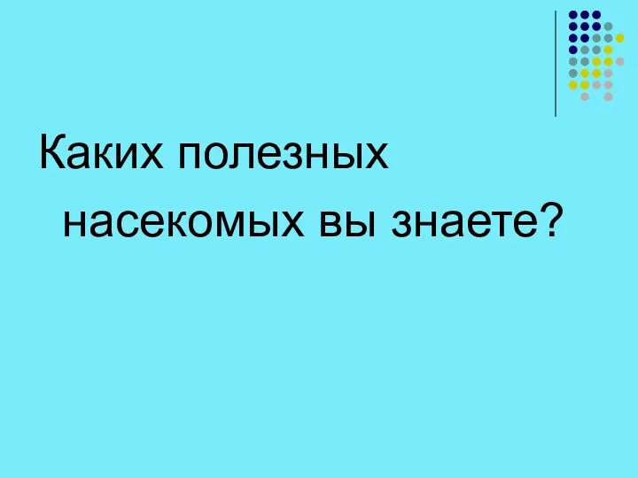 Каких полезных насекомых вы знаете?