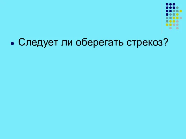 Следует ли оберегать стрекоз?