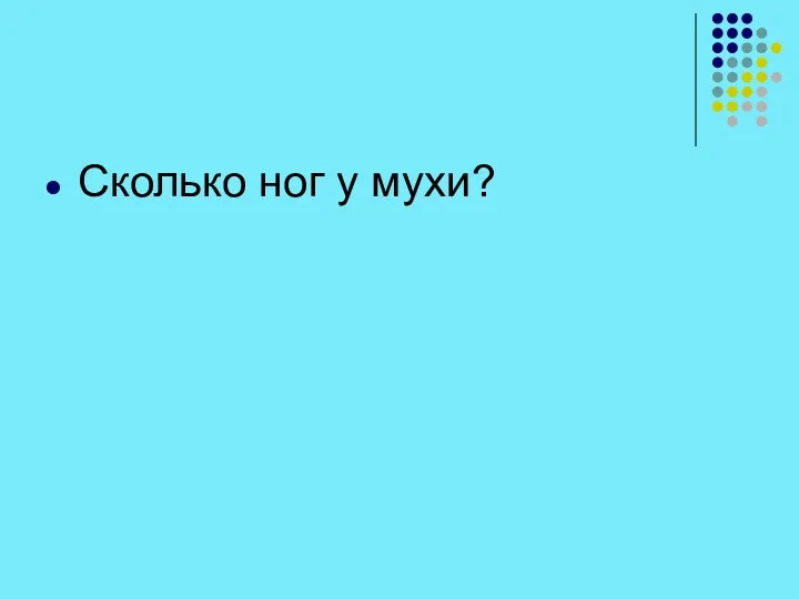 Сколько ног у мухи?