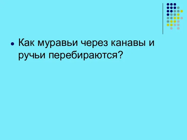 Как муравьи через канавы и ручьи перебираются?