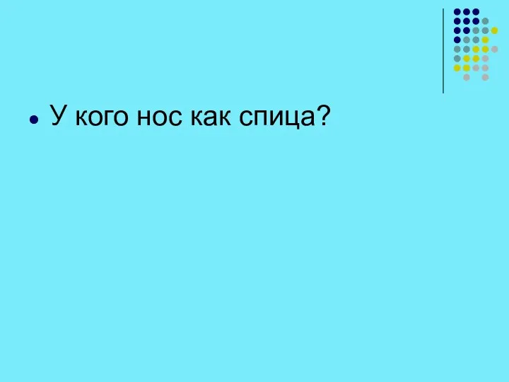 У кого нос как спица?