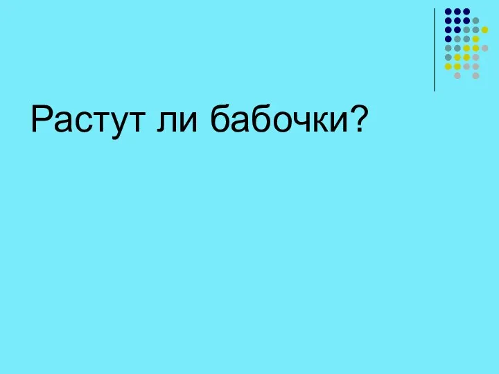 Растут ли бабочки?