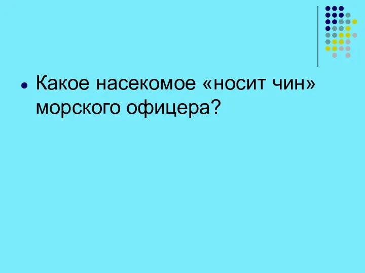 Какое насекомое «носит чин» морского офицера?