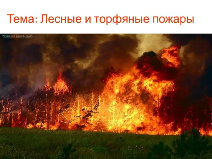 Тема: Лесные и торфяные пожары