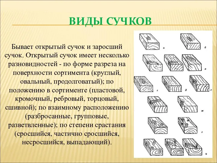 ВИДЫ СУЧКОВ Бывает открытый сучок и заросший сучок. Открытый сучок