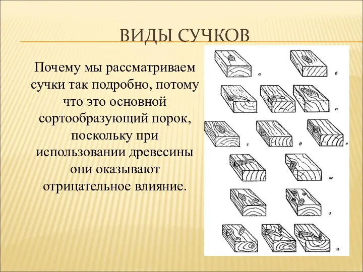 ВИДЫ СУЧКОВ Почему мы рассматриваем сучки так подробно, потому что