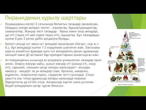 Пирамиданың құрылу шарттары Пирамиданың келесі 2 сатысында белоктық тағамдар орналасқан.