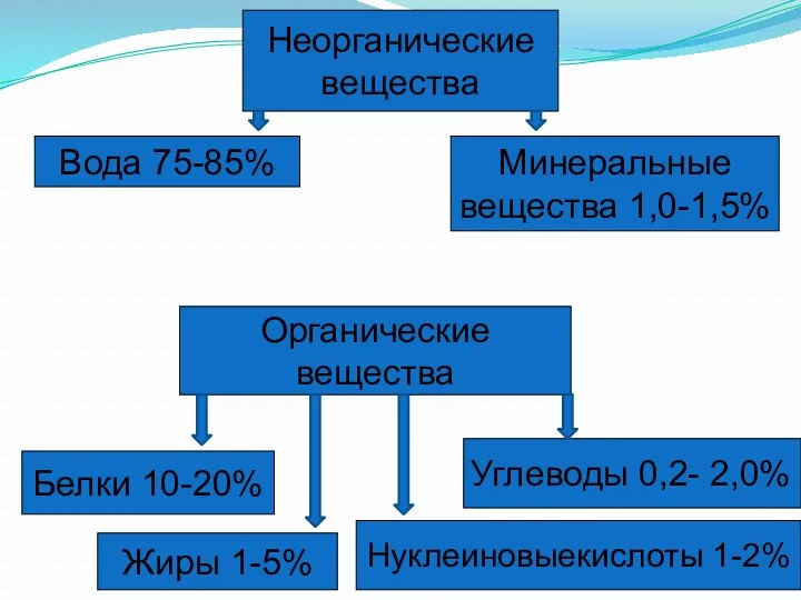 Вода 75-85% Минеральные вещества 1,0-1,5% Белки 10-20% Органические вещества Жиры