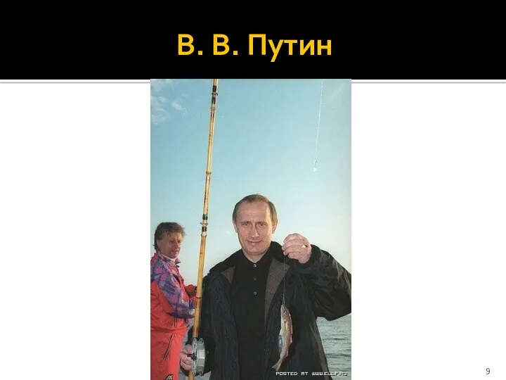 В. В. Путин