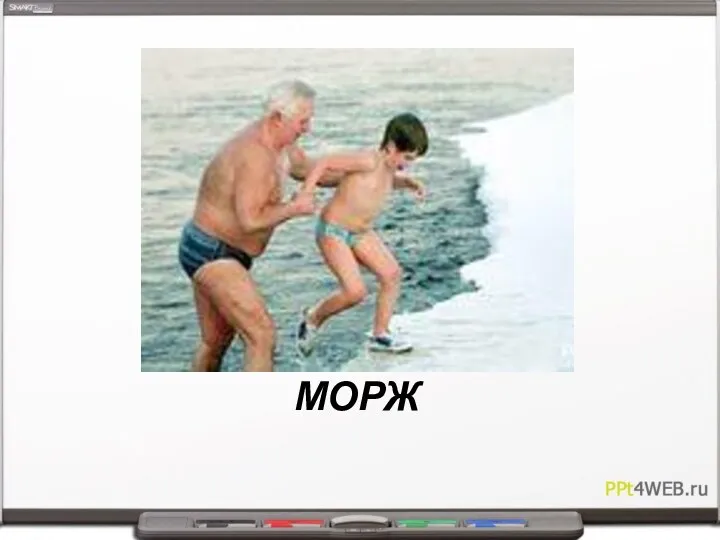 МОРЖ