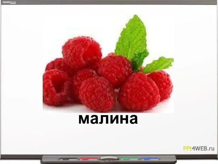 малина