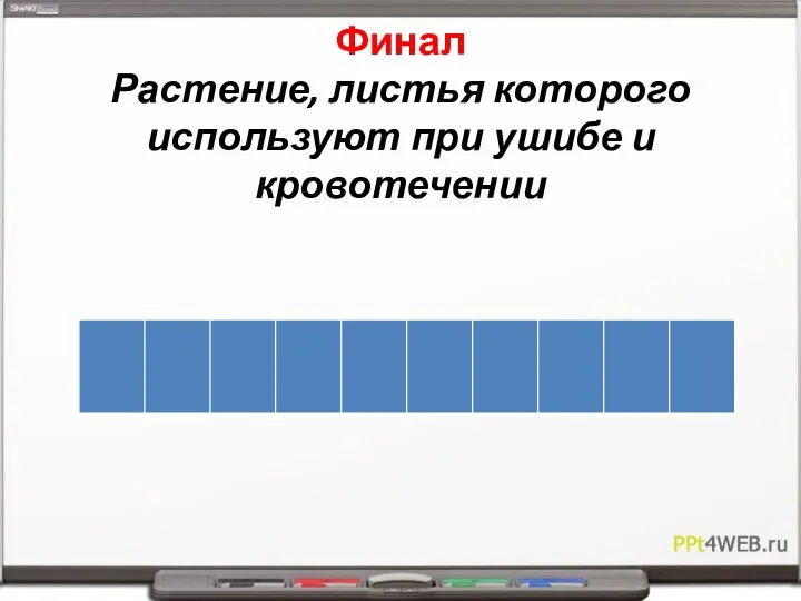 Финал Растение, листья которого используют при ушибе и кровотечении