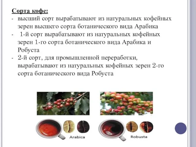 Сорта кофе: высший сорт вырабатывают из натуральных кофейных зерен высшего