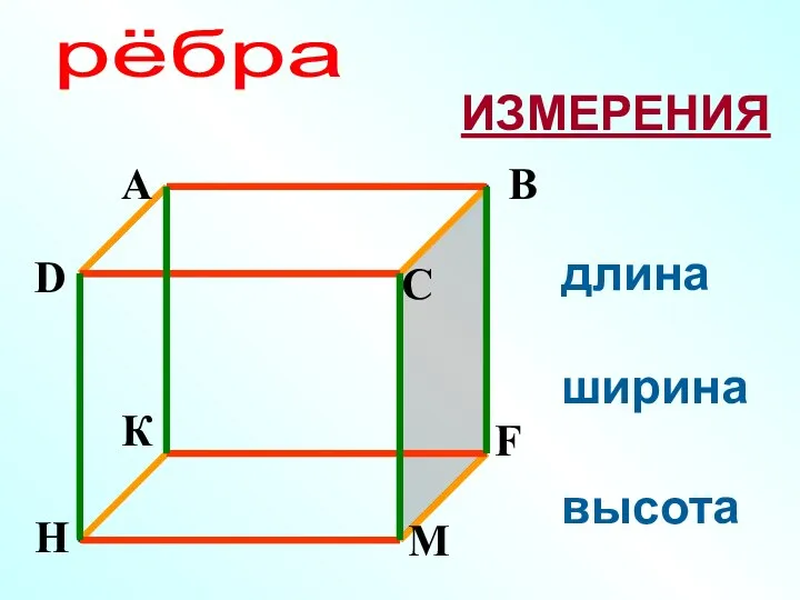 рёбра длина ширина высота ИЗМЕРЕНИЯ