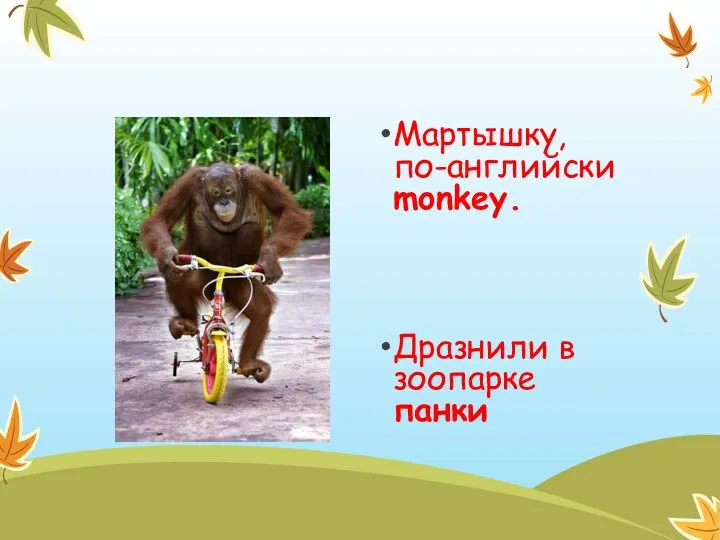 Мартышку, по-английски monkey. Дразнили в зоопарке панки