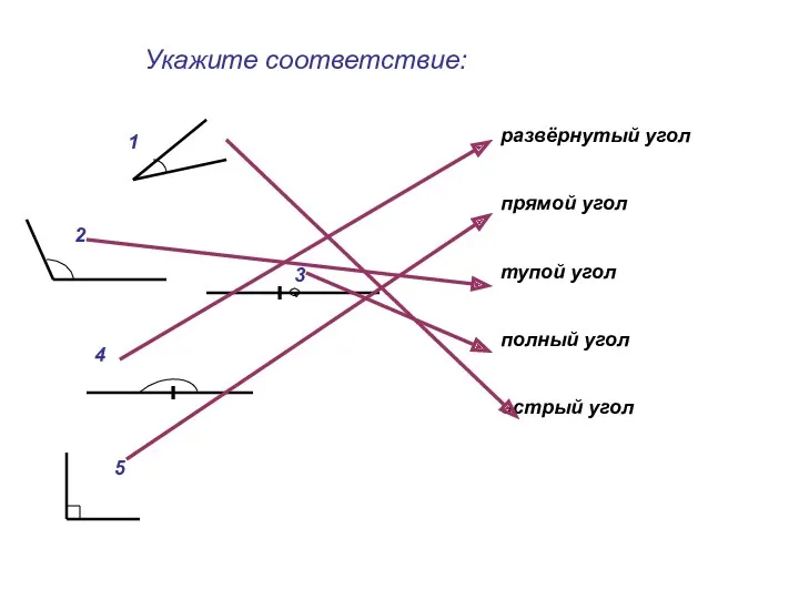 Укажите соответствие: 1 2 3 4 5 развёрнутый угол прямой