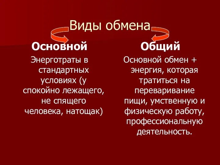 Виды обмена Основной Энерготраты в стандартных условиях (у спокойно лежащего,