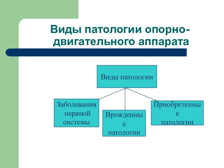 Виды патологии опорно- двигательного аппарата Виды патологии Заболевания нервной системы Врожденные патологии Приобретенные патологии