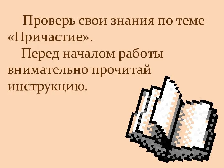 Проверь свои знания по теме «Причастие». Перед началом работы внимательно прочитай инструкцию.