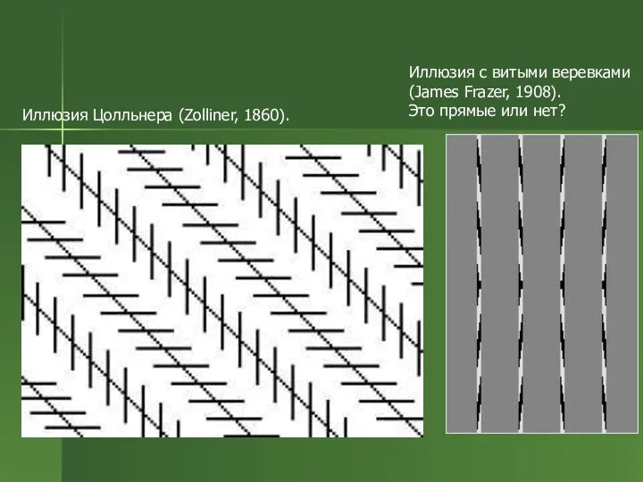 Иллюзия Цолльнера (Zolliner, 1860). Иллюзия с витыми веревками (James Frazer, 1908). Это прямые или нет?